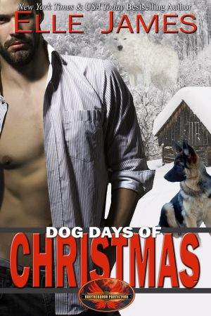 [Brotherhood Protectors 16] • Dog Days of Christmas